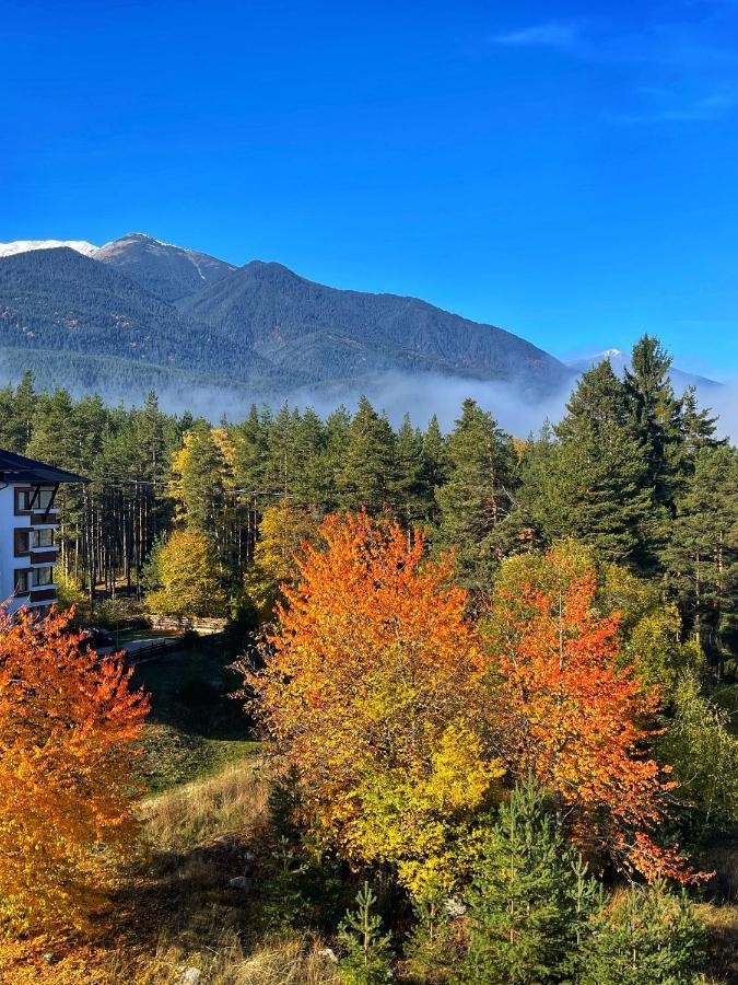 Park Hotel Panorama Bansko Exterior photo